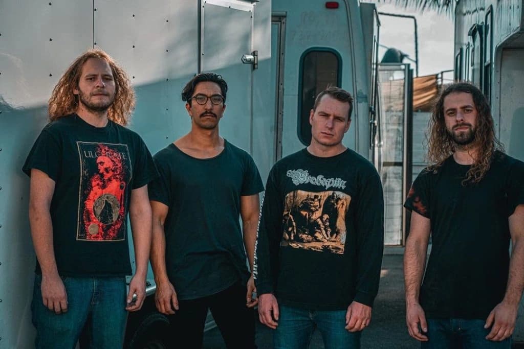 Disentomb