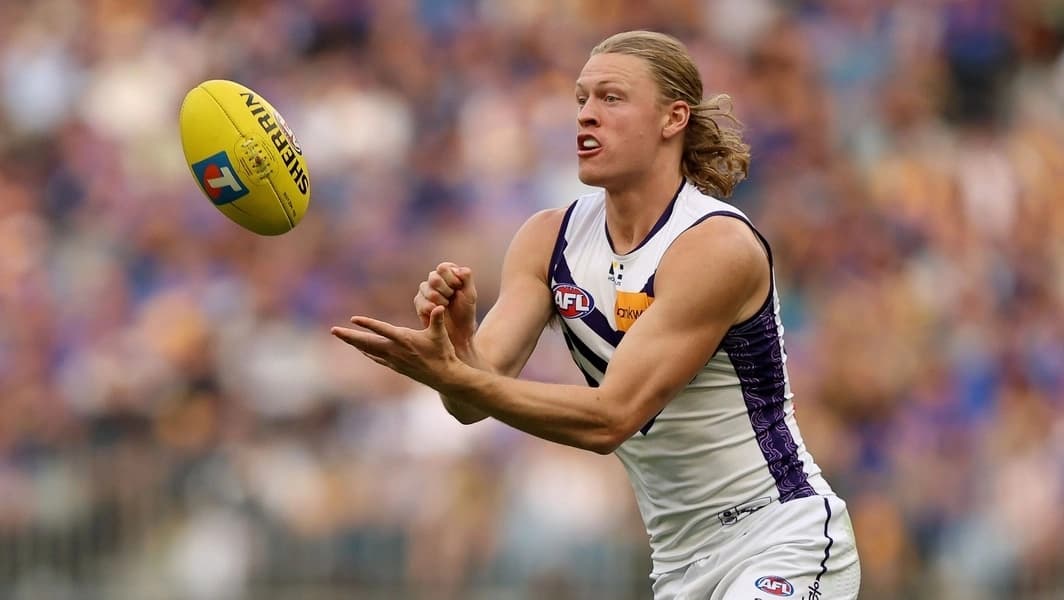 Hayden Young