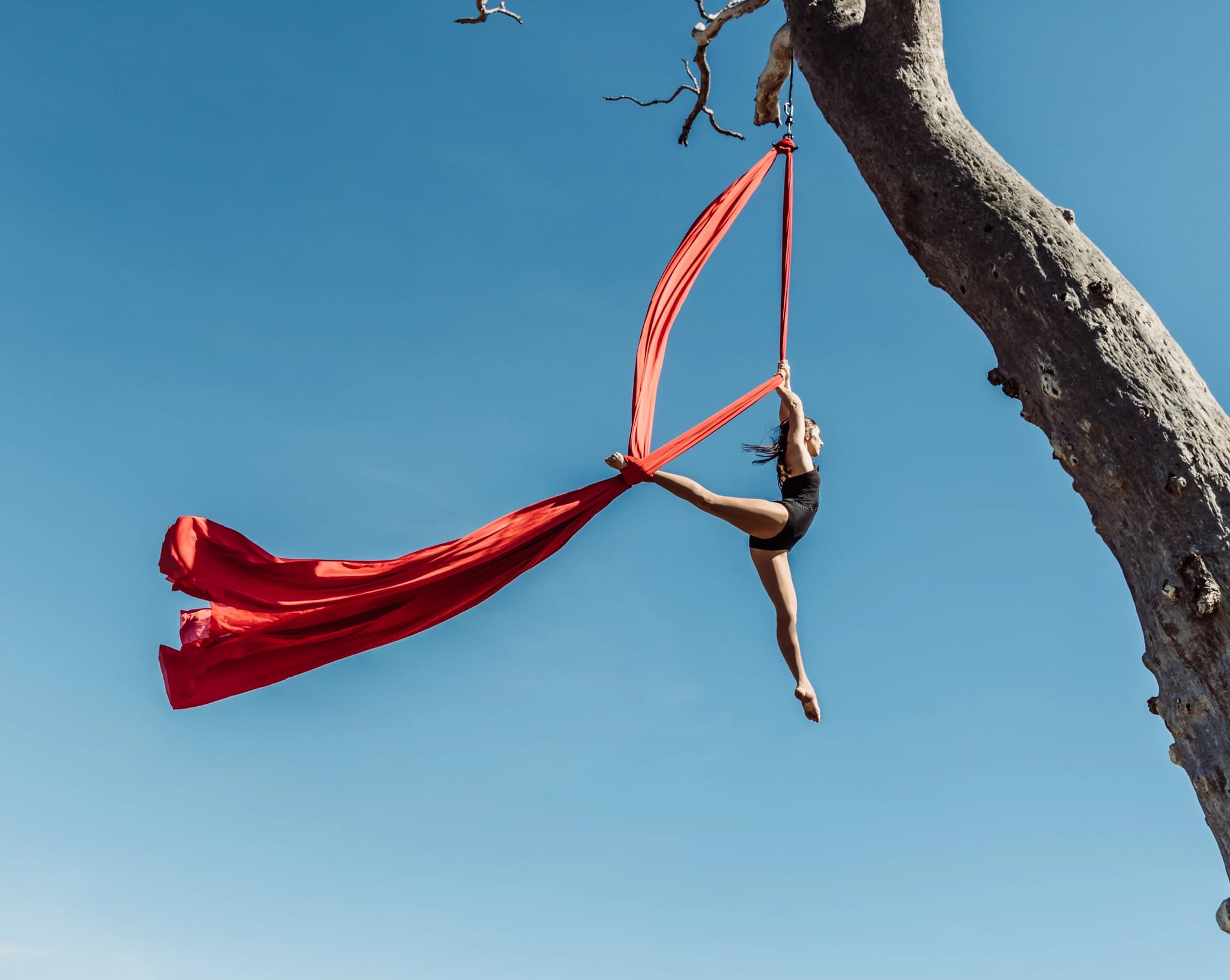 Aerial Dynamics