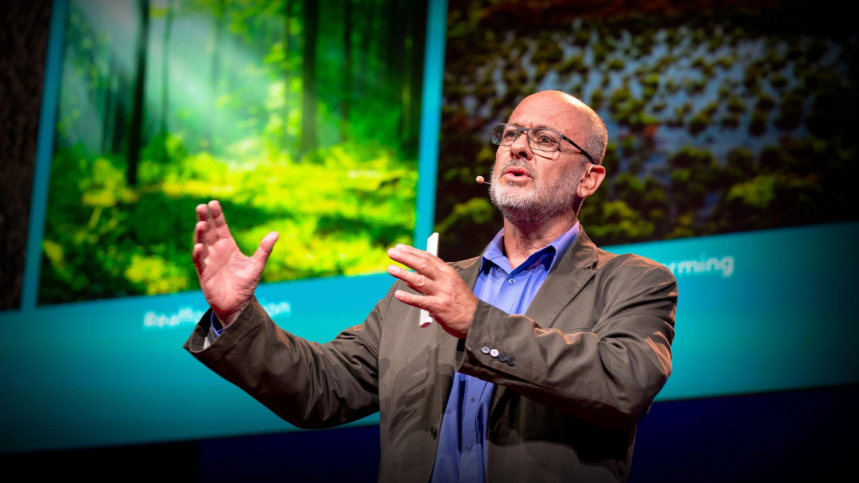 Professor Tim Flannery