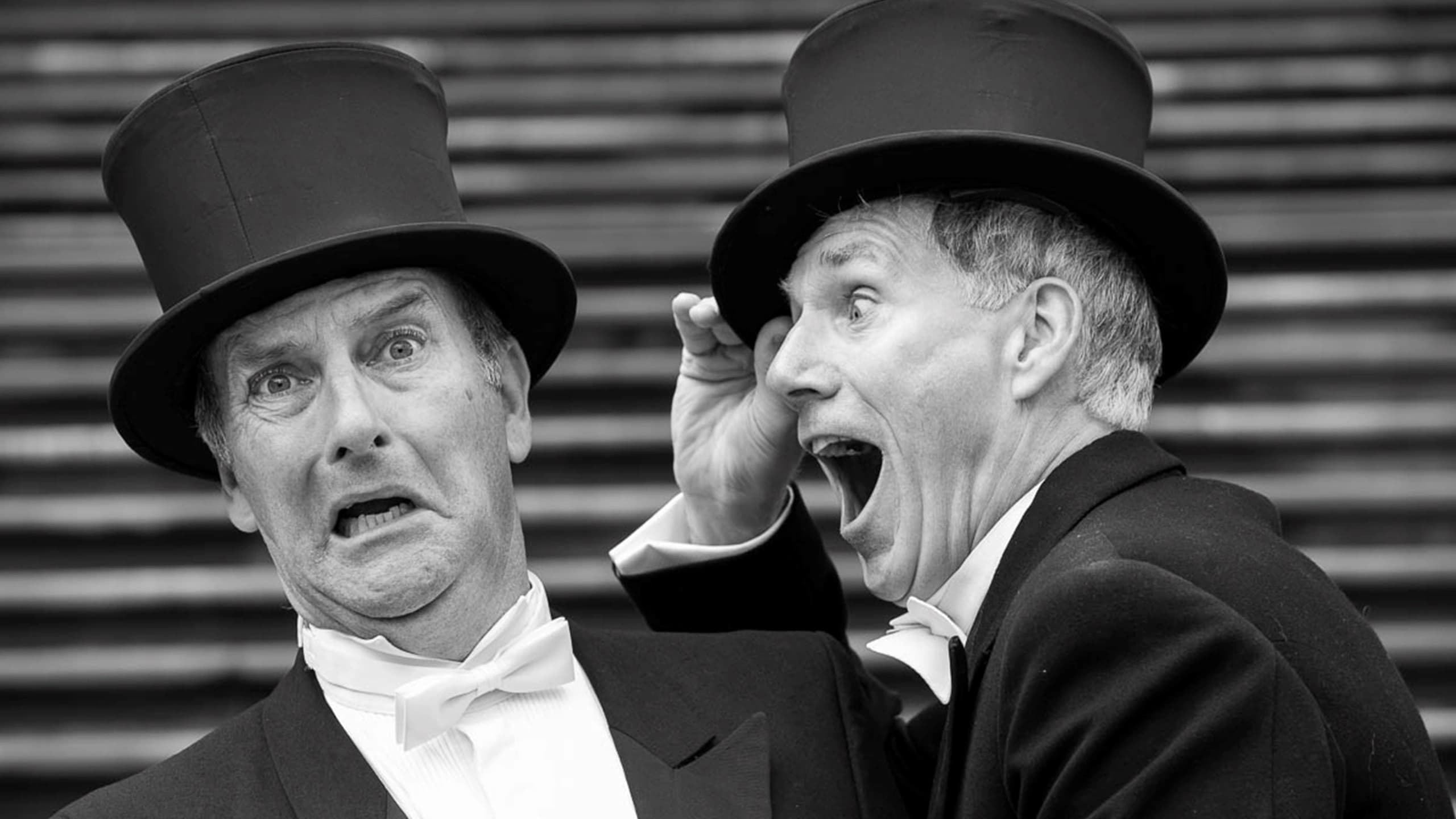 David Hobson and Colin Lane "In Tails"